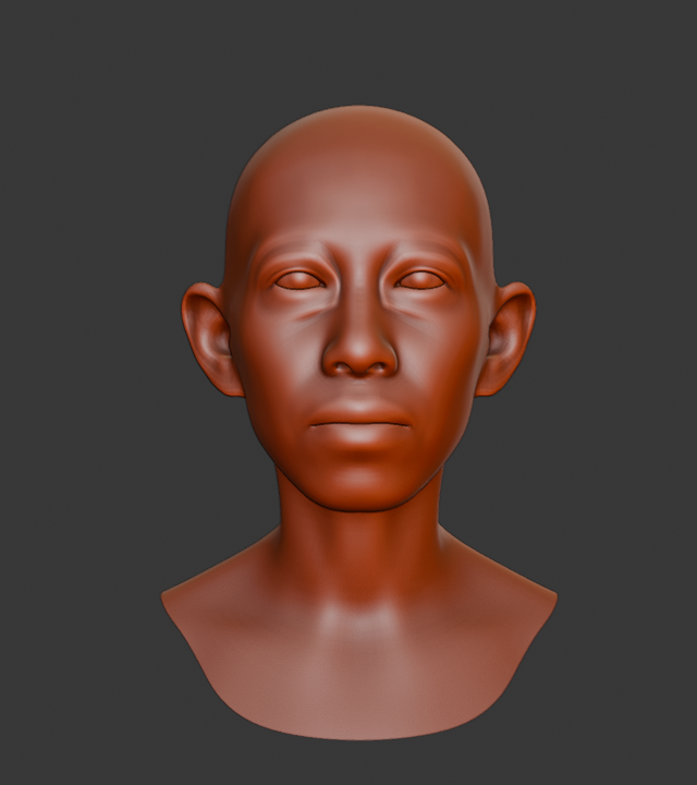GNM generated head, front view, clay material