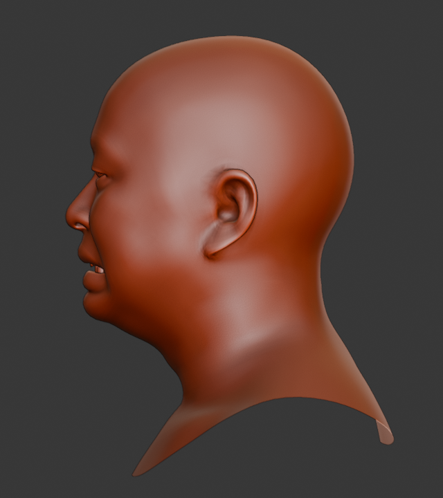GNM generated head, profile view, clay material