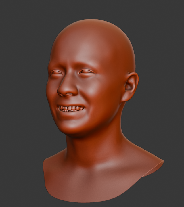 GNM generated head, three-quarter view, clay material