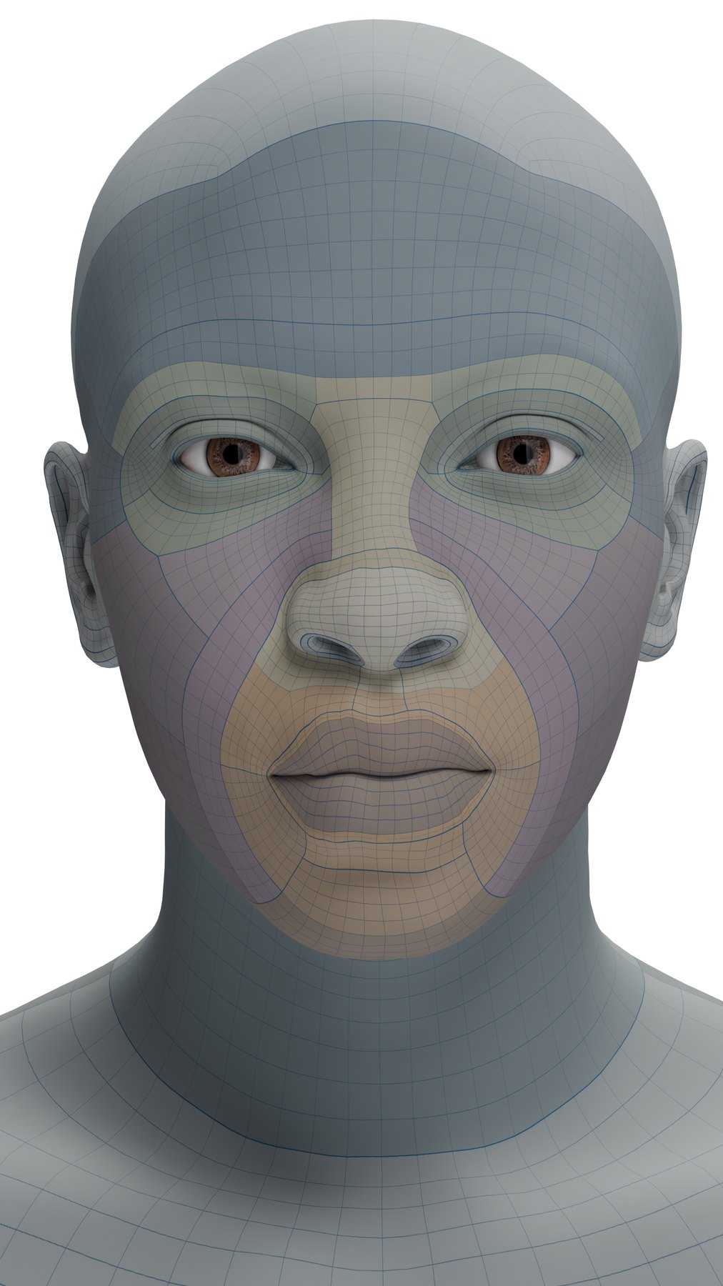 The wrapped template — the trusted mesh conformed to the target's shape